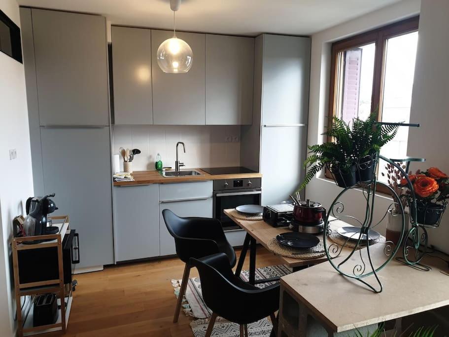 The Duplex Annecy Tgv; Vielle Ville Εξωτερικό φωτογραφία